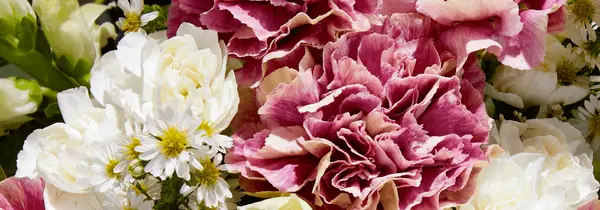 zoomed in white and pink flowers