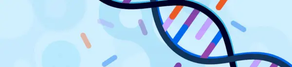 il·lustració d'una cadena d'ADN a la qual falta una base nitrogenada