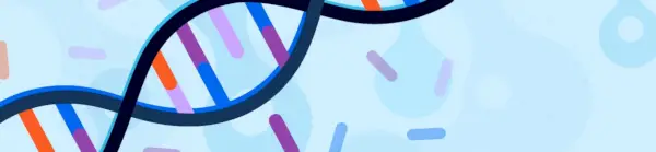 il·lustració d'una cadena d'ADN a la qual falta una base nitrogenada
