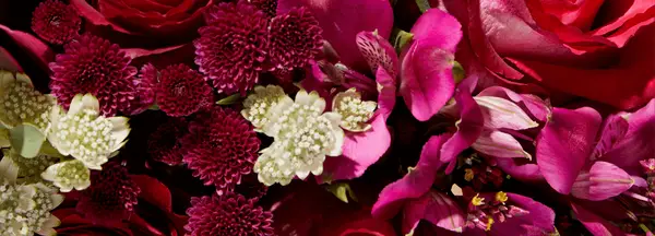close up of Thefantasynames Liberty blooms