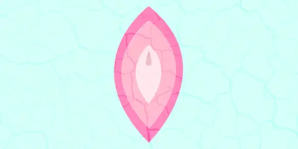 질이 건조한 8가지 이유와 대처 방법