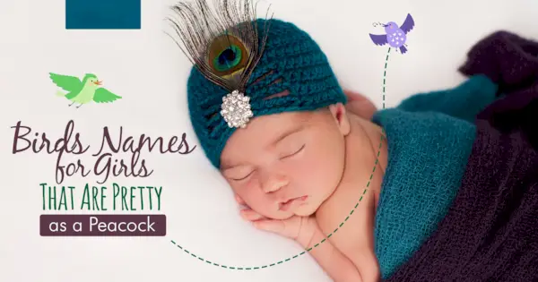 Madárnevek lányoknak, akik olyan szépek, mint egy páva