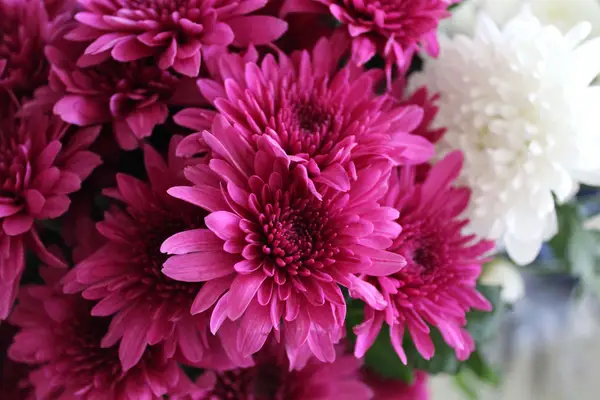 24 beste herfstbloemen