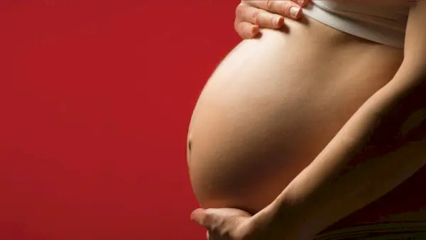 블러디 쇼: 알아야 할 사항은 다음과 같습니다.