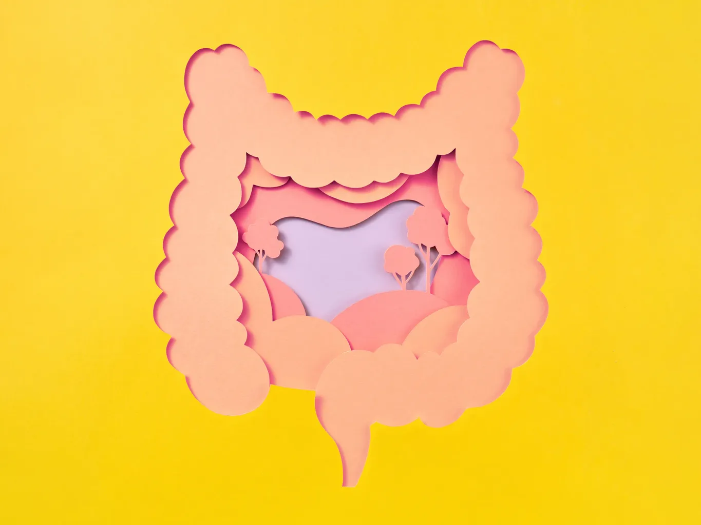 Najboljša hrana za zdravljenje črevesja po jemanju antibiotikov