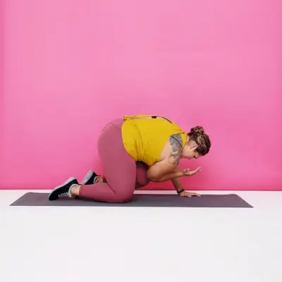 birddog crunch
