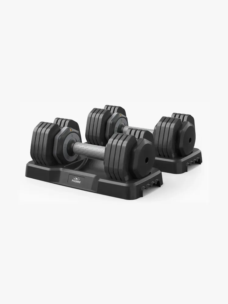 Verstellbares Flybird-Hantelpaar aus Markenkomponente auf hellgrauem Hintergrund