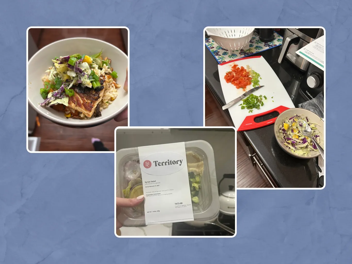 Preizkusimo najboljše storitve dostave obrokov z visoko vsebnostjo beljakovin