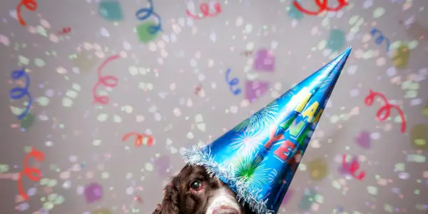 9 formas de desintoxicarte después de una gran noche