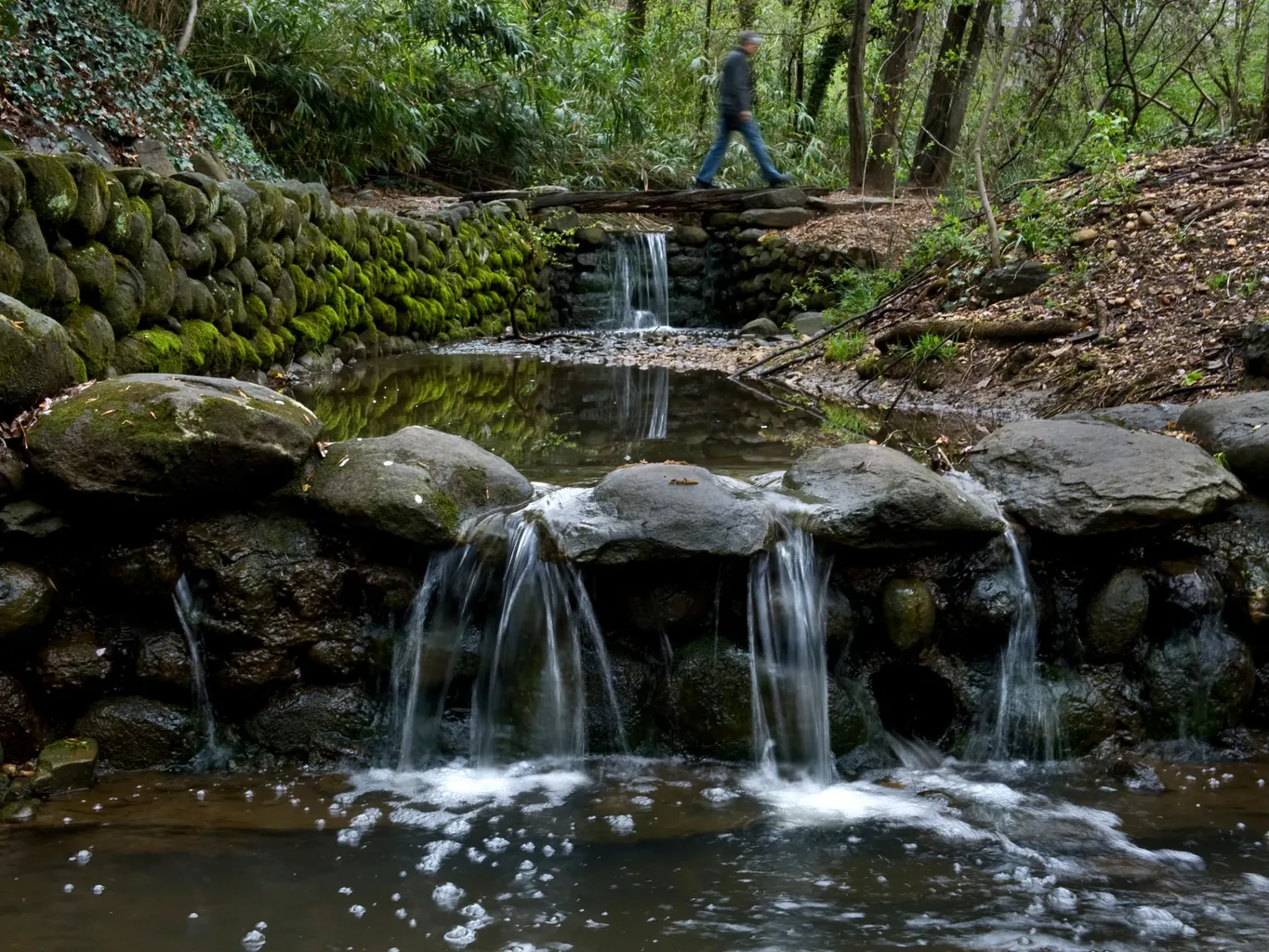 ਇੱਕ ਨਦੀ ਉੱਤੇ ਤੁਰਦਾ ਹੋਇਆ ਵਿਅਕਤੀ