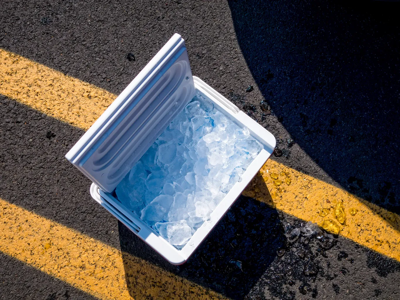 Več kot 1 milijon hladilnikov Igloo je bilo odpoklicanih zaradi