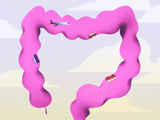 क्या आप अल्सरेटिव कोलाइटिस के साथ यात्रा कर सकते हैं?