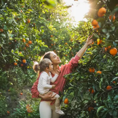 풍요로운 사고방식을 키우는 방법: 성공하는 데 도움이 되는 8가지 팁