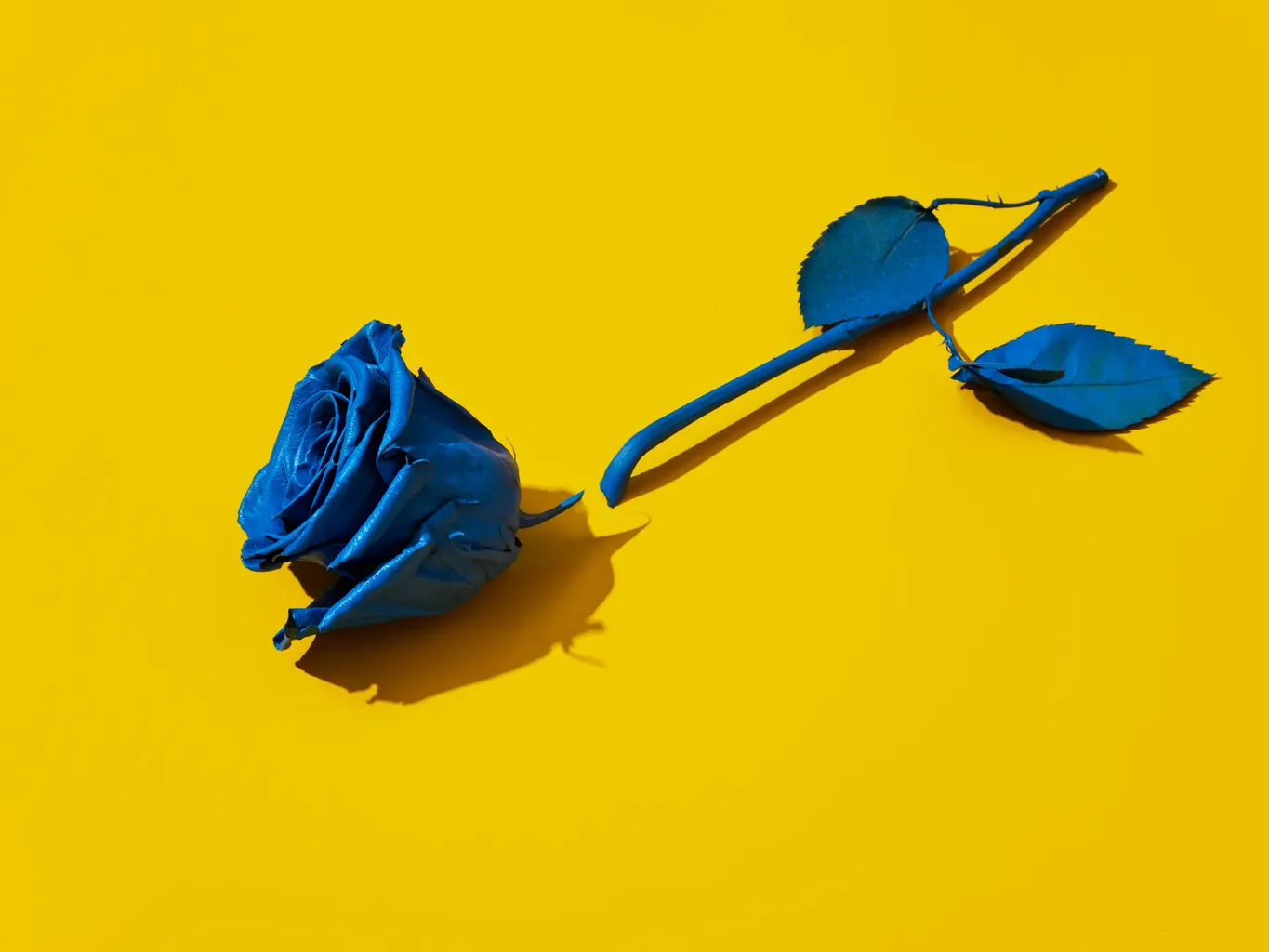 4 Tanda Halus Ketidaktersediaan Emosional yang Harus Diwaspadai