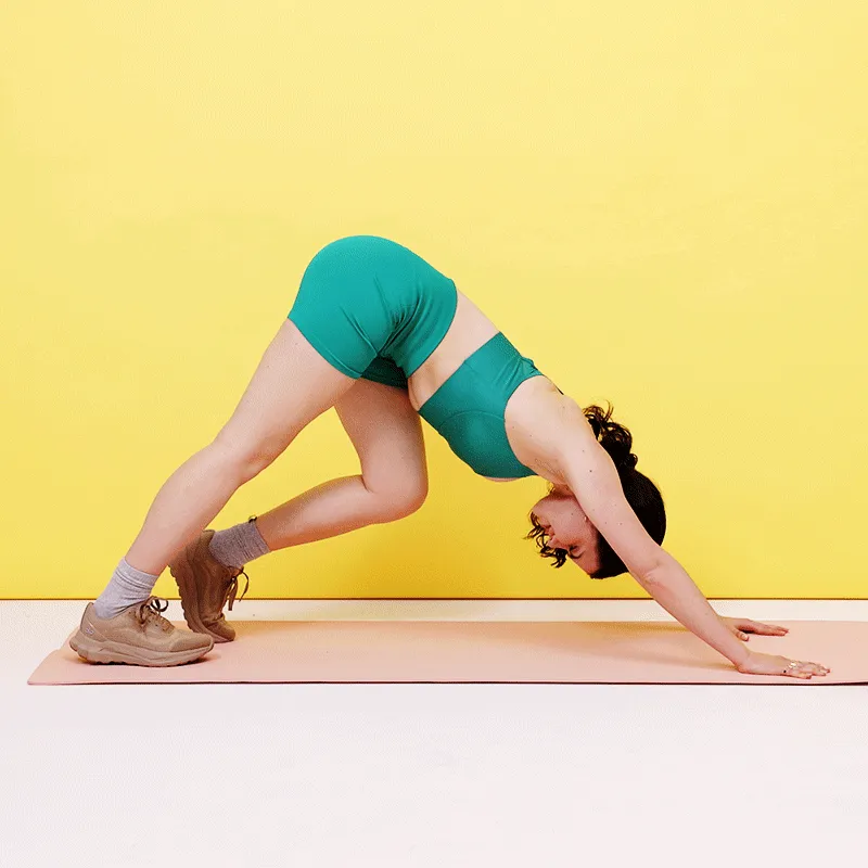 子牛を交互に行進させる下向きの犬