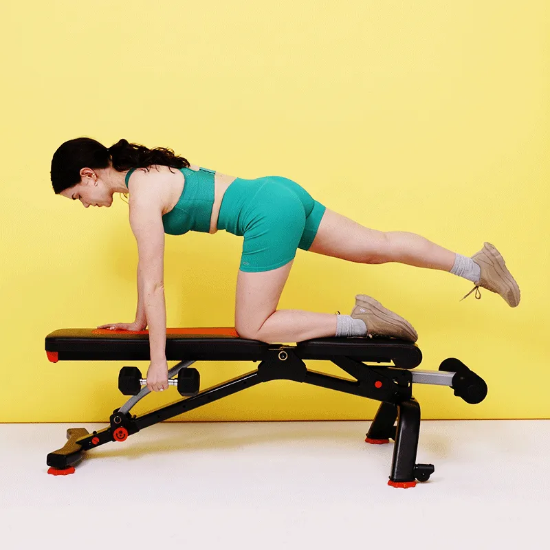 שורת כלבי ציפורים