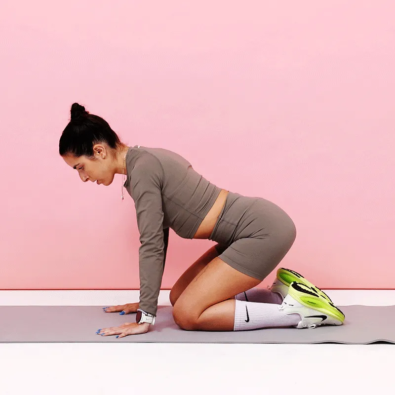 коленичила котка крава