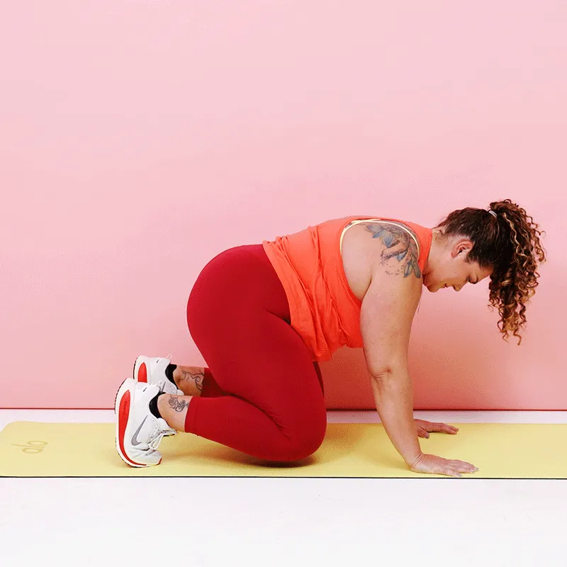 мечка се хваща за куче надолу