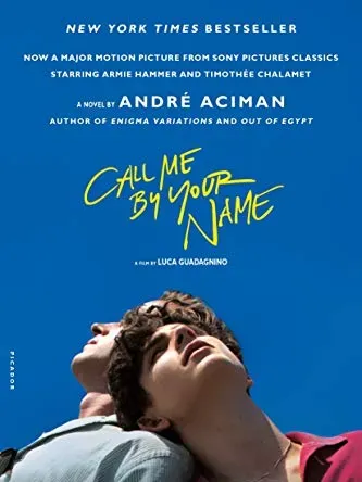 Gambar mungkin berisi: Timothée Chalamet Publikasi Buku Orang Remaja Iklan Novel Poster Wajah dan Kepala Dewasa