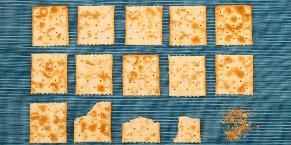 病気でゴミのように感じたときに食べるのに最適な食べ物