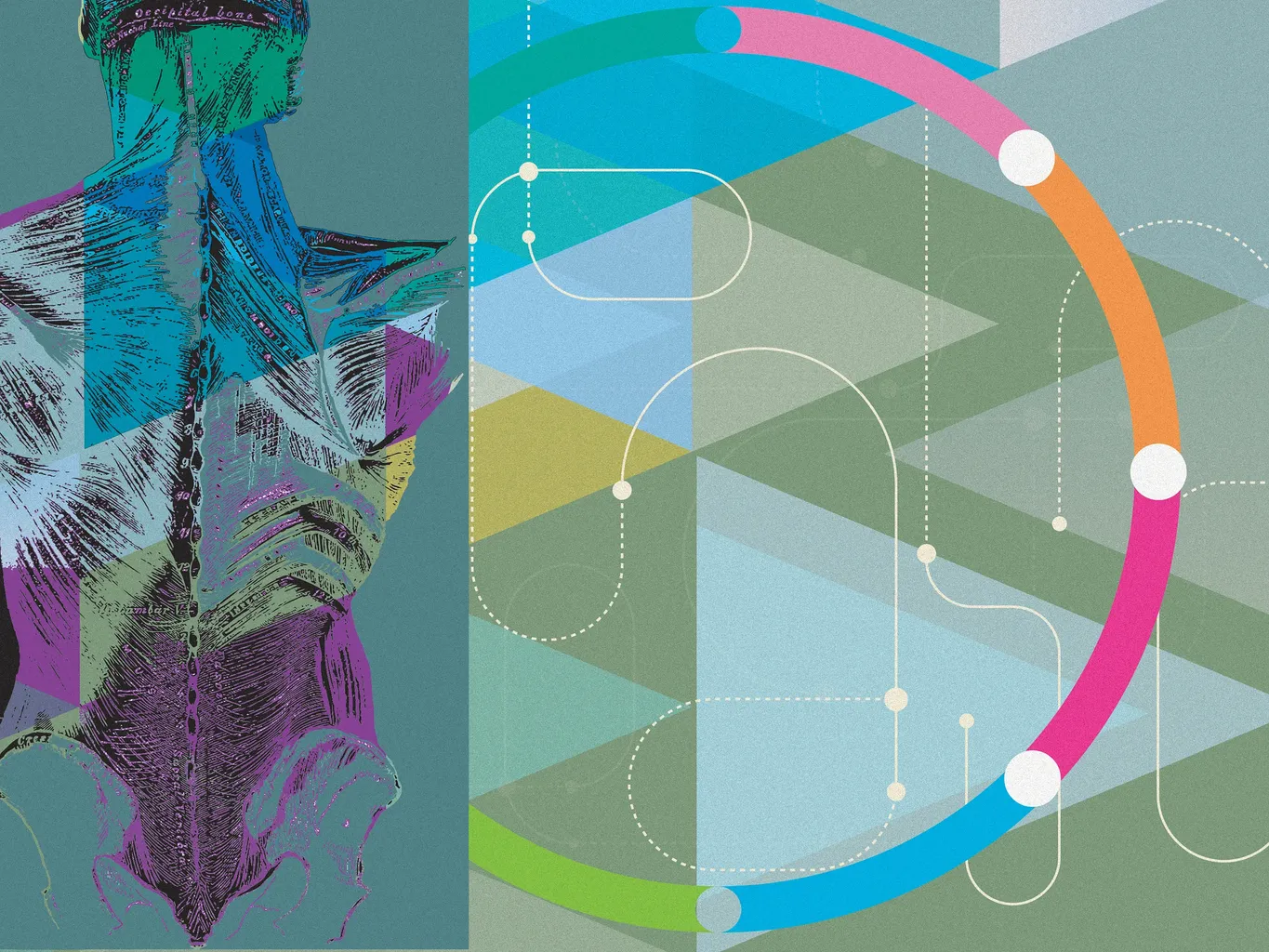 วิทยาศาสตร์เกี่ยวกับน้ำหนักและสุขภาพมีความซับซ้อนมากกว่าที่คุณคิด